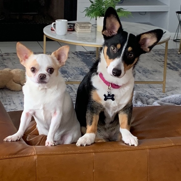 Meet your Posher, Jamie - Picture 12 of 14